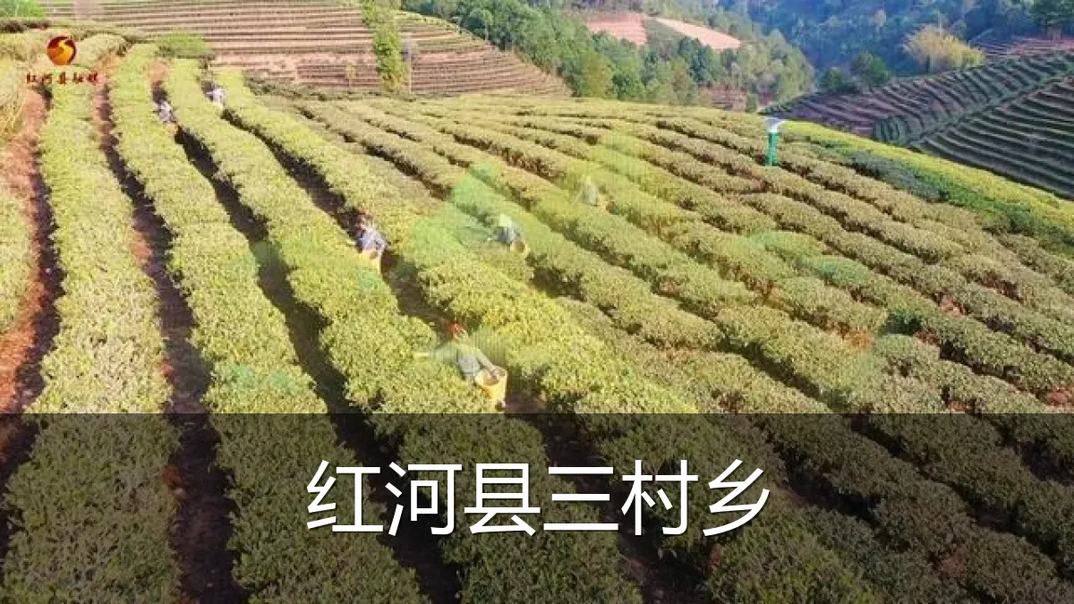 红河县三村乡