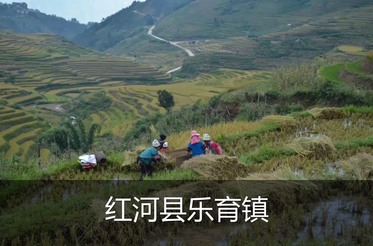 红河县乐育镇